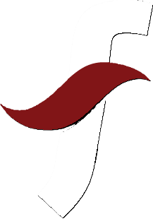 Digital Flow logo
